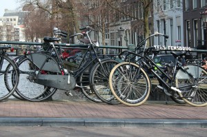 IMG_9953